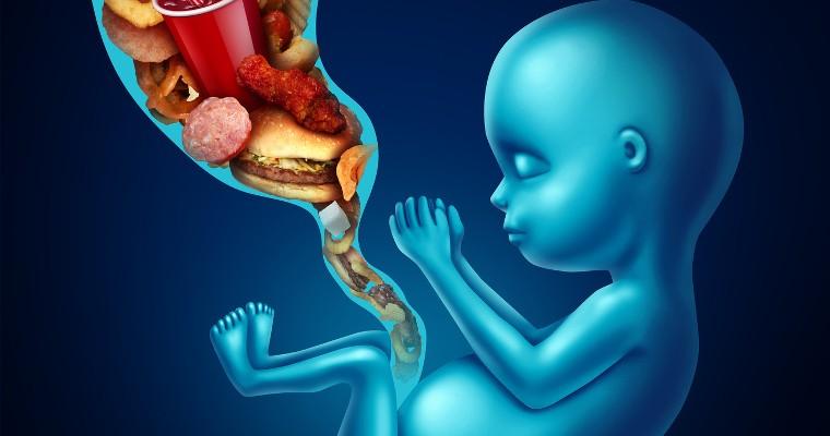 Zdjęcie dziecka w brzuchu matki oraz pępowiny wypełnionej fast foodami