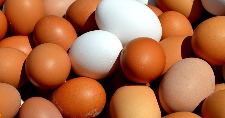 Duża ilość jajek kurzych w białych i brązowych skorupkach