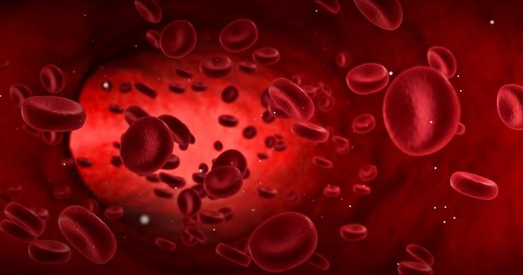 Komórki krwi 
