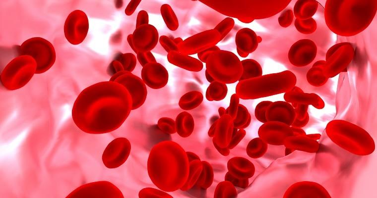 Krew - naczynie krwionośne z płytkami krwi. 