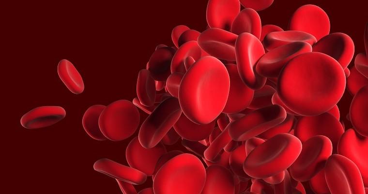 Komórki krwi krążące w krwiobiegu.