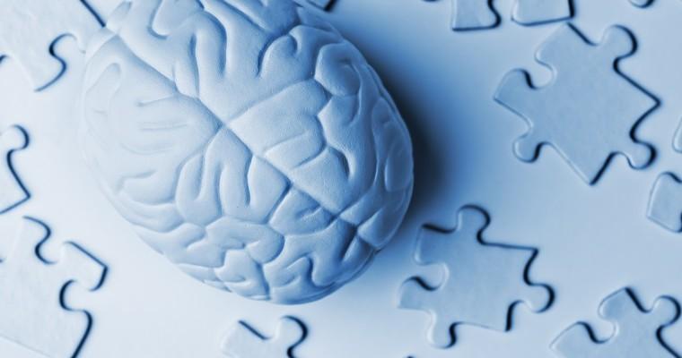 budowa anatomiczna mózgu na niebieskim tle