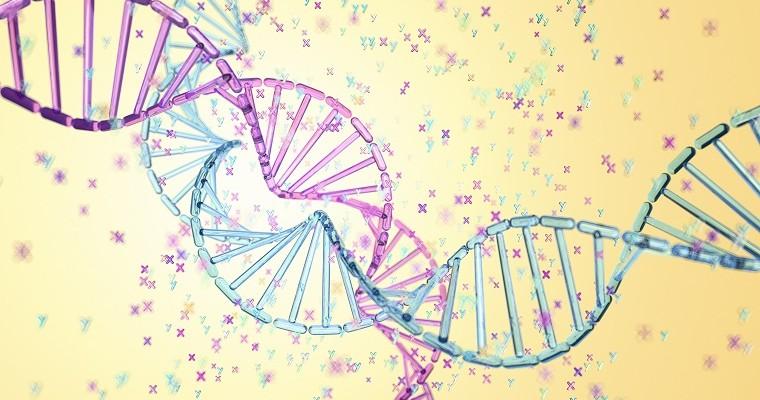 Nici DNA przedstawiające chromosomy wyboru płci
