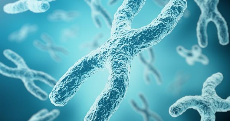 chromosomy na seledynowym tle 