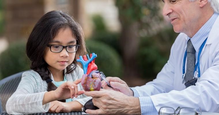 Lekarz, który pokazuje dziewczynce model serca 