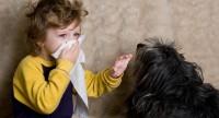 Alergia na psa – objawy i sposoby ich łagodzenia