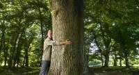 Sylwoterapia – na czym polega terapia z wykorzystaniem drzew?