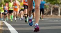 Półmaraton – plan treningu i przygotowanie do zawodów.
Ile wynosi dystans biegu i jaki jest rekordowy czas?