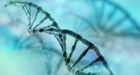 Czym jest MTHFR?
Badanie i wpływ na ciążę mutacji genu MTHFR