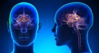 Autoimmunologiczne zapalenie mózgu – przyczyny, objawy, leczenie