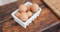 Alergia na białko jaja kurzego – objawy i zalecany sposób odżywiania