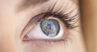 Budowa i funkcja oka, mechanizm widzenia 