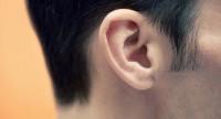 Ucho środkowe – budowa, działanie i choroby
