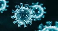 Koronawirus szybko ewoluuje i atakuje nawet młode, wysportowane organizmy - alarmują eksperci