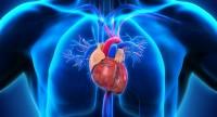 Serce płucne a przerost prawej komory serca – jak rozpoznać?
Objawy i leczenie