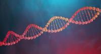 Profilaktyka chorób genetycznych – metody zapobiegania nowotworom