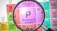 Fosfor – jakie funkcje pełni w organizmie i gdzie występuje?