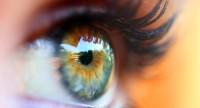 Główne objawy złośliwych nowotworów gałki ocznej u dzieci i dorosłych