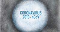 Czy witaminy chronią przed zakażeniem koronawirusem?
Odpowiedzi na najciekawsze pytania ze specjalnego wydania 36,6°C!