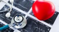 Badania serca:
przebieg badań i wskazania do diagnostyki chorób układu krwionośnego