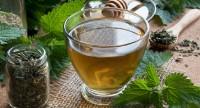 Herbata z pokrzywy – właściwości, zastosowanie, sposób przygotowania