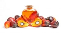 Olej palmowy – szkodliwy dla organizmu?
Właściwości i zastosowanie oleju palmowego