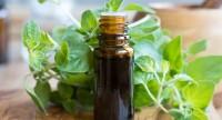 Jak stosować olejek z oregano?
Właściwości i przeciwwskazania