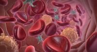 Trombocyty – norma.
Za niskie lub za wysokie płytki krwi