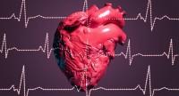 Kardiomiopatia, czyli serce w przebudowie.
Skąd się bierze to schorzenie i jak można je leczyć?