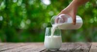 Jakie są objawy alergii na mleko?
Co powoduje uczulenie na mleko?