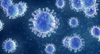 Wirus:
Niewidzialny zabójca.
Zobacz  nowy program na antenie Discovery Life!