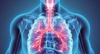 Pletyzmografia – jedno z badań czynnościowych płuc