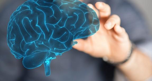 Jakie funkcje pełni pień mózgu? Objawy uszkodzenia pnia mózgu
