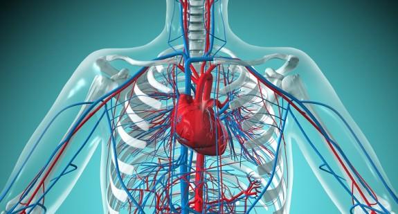 Przyczyny powstawania, najczęstsze objawy oraz metody leczenia śluzaków w sercu