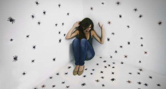Czym jest entomofobia? W jaki sposób leczy się lęk przed owadami?