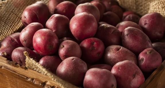 Czerwony ziemniak – co go wyróżnia? Jakie są jego właściwości?