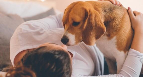 Psy potrafią wykrywać raka na długo przed badaniami