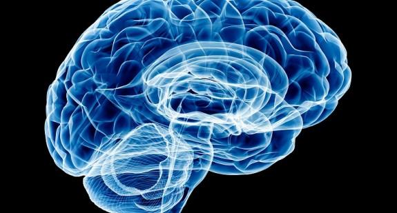 Czym jest istota czarna mózgu? Przyczyny i konsekwencje uszkodzenia istoty czarnej