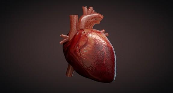 Hemodynamika serca – rola w ogólnoustrojowym krążeniu krwi 