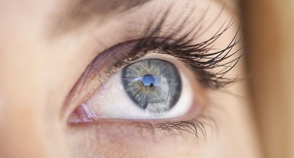 Budowa i funkcja oka, mechanizm widzenia 