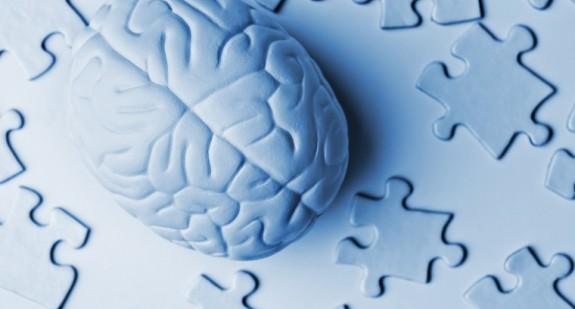 Jądra podkorowe – anatomia i fizjologia. Za co odpowiadają w mózgu?