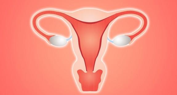 Konizacja szyjki macicy – wskazania, przebieg zabiegu, gojenie i rekonwalescencja