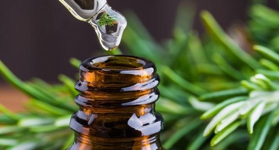 Olejek rozmarynowy – zdrowotne i kosmetyczne właściwości olejku z rozmarynu