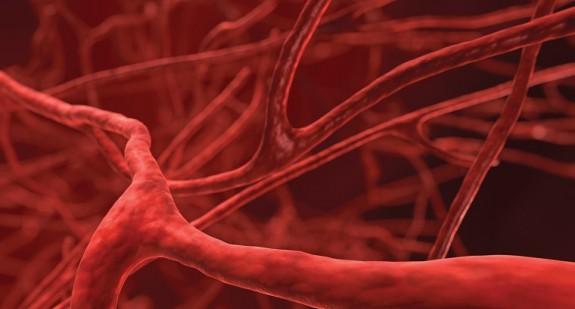 Czym jest tętnica ramienna? Przebieg krwi, pomiar tętna i ciśnienia na tętnicy ramiennej