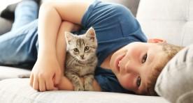 Objawy alergii na kota – uczulenie na kocią sierść, odczulanie