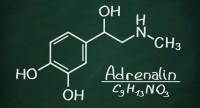 Adrenalina – działanie i właściwości hormonu. Jakie zastosowanie lecznicze ma epinefryna?