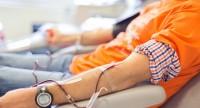 Oddawanie krwi – wymagania i przeciwwskazania dla potencjalnych krwiodawców